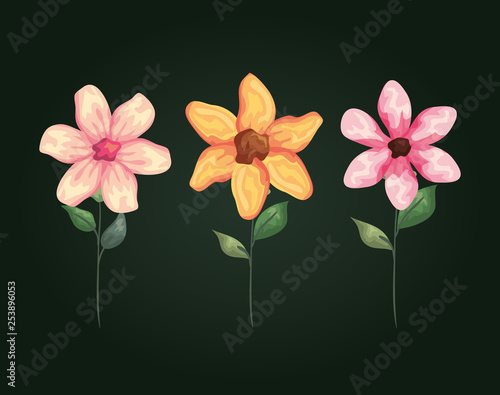 natural flowers with exotic petals and leaves