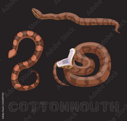 Snake Cottonmouth Cartoon Vector Illustration