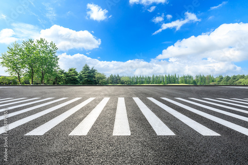 Zebra crossing road ground and green forest landscape in summer