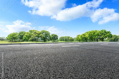 Asphalt road and green forest landscape in summer season