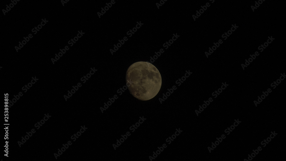 Obraz premium 稲荷山の月