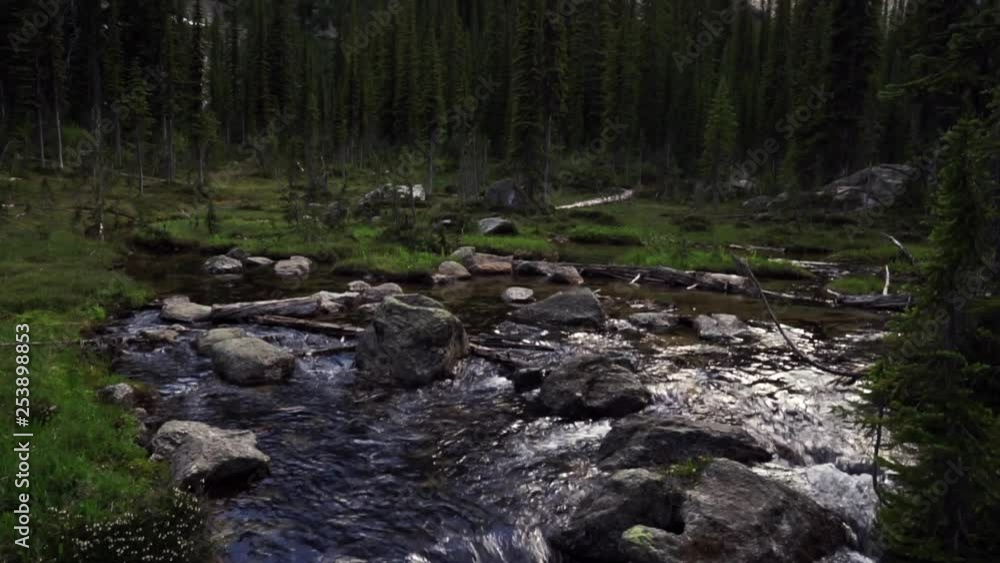 A pan of a somber mountain stream in the Selkirks of Canada A pan of a somber mountain stream in the Selkirks of Canada