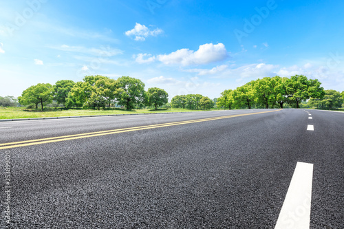 Asphalt road and green forest landscape in summer season