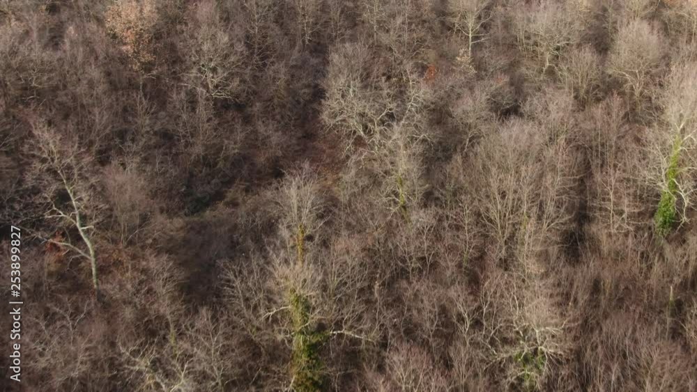 Autumn Nature Cinematic Aerial Landscape 4K | Drone flight over a beatifull colored forest Autumn Nature Cinematic Aerial Landscape 4K | Drone flight over a beatifull colored forest