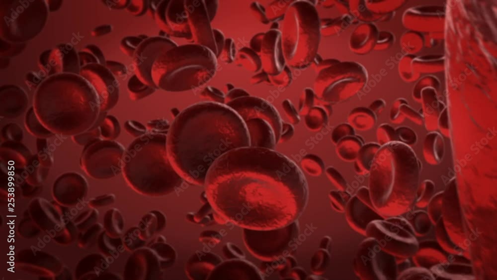 Medical look at red blood cells in plasma in vein via tracking camera Medical look at red blood cells in plasma in vein via tracking camera