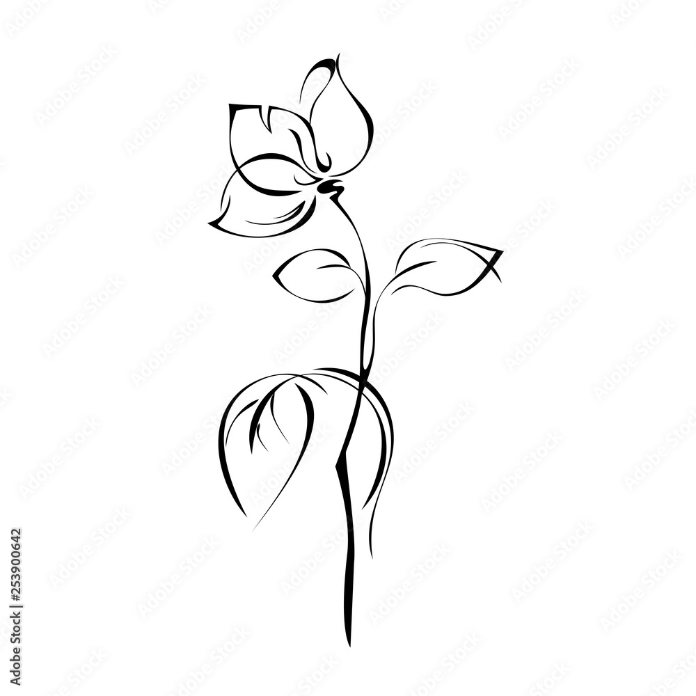 stylized flower on stem with leaf in black lines on white background stylized flower on stem with leaf in black lines on white background