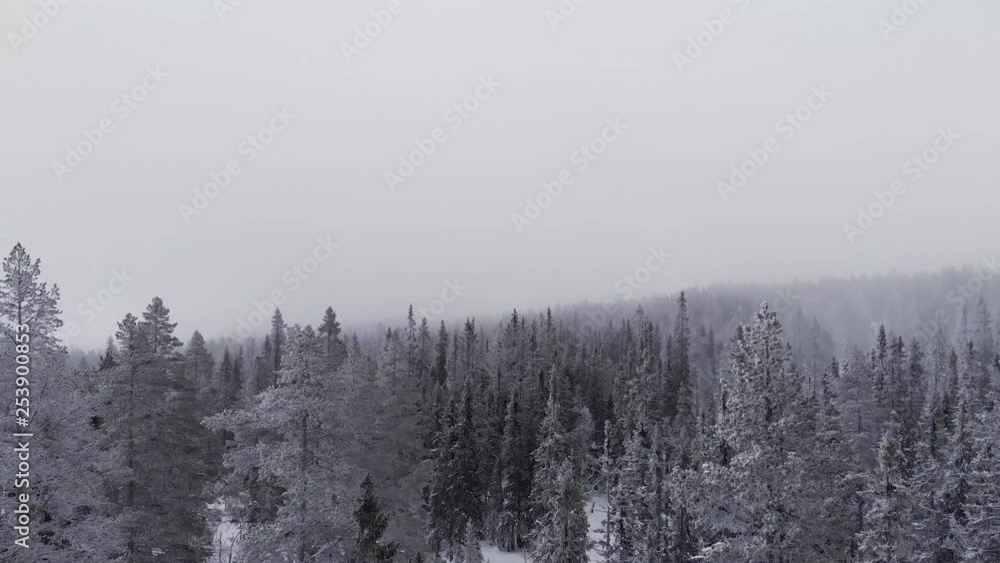 Aerial of a frozen forest with snow covered trees in Idre, Sweden during a cloudy day with fog. Forward movement up through the tree tops. Aerial of a frozen forest with snow covered trees in Idre, Sweden during a cloudy day with fog. Forward movement up through the tree tops.