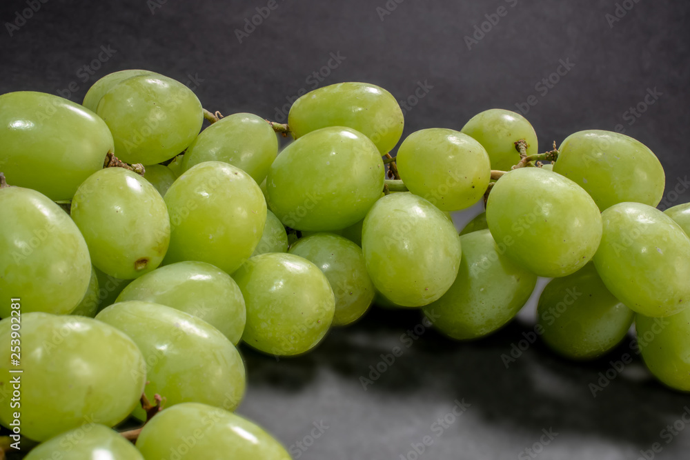 グリーンシードレス