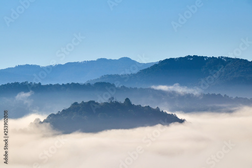 foggy morning among the mountains