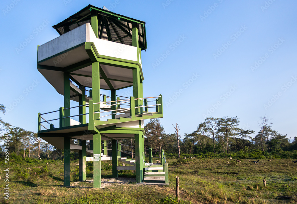 Manas national park and wildlife during daytime and green park Manas national park and wildlife during daytime and green park