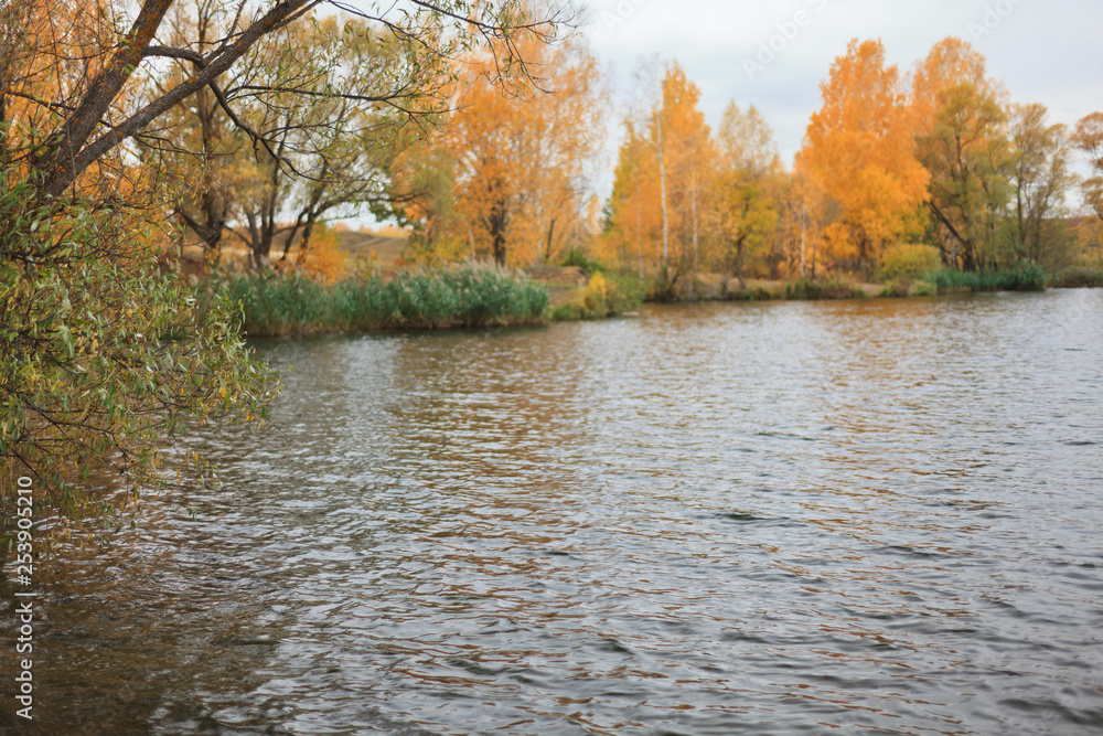 Fototapeta premium autumn landscape with lake and trees