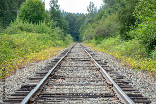 Train Railway in Washington