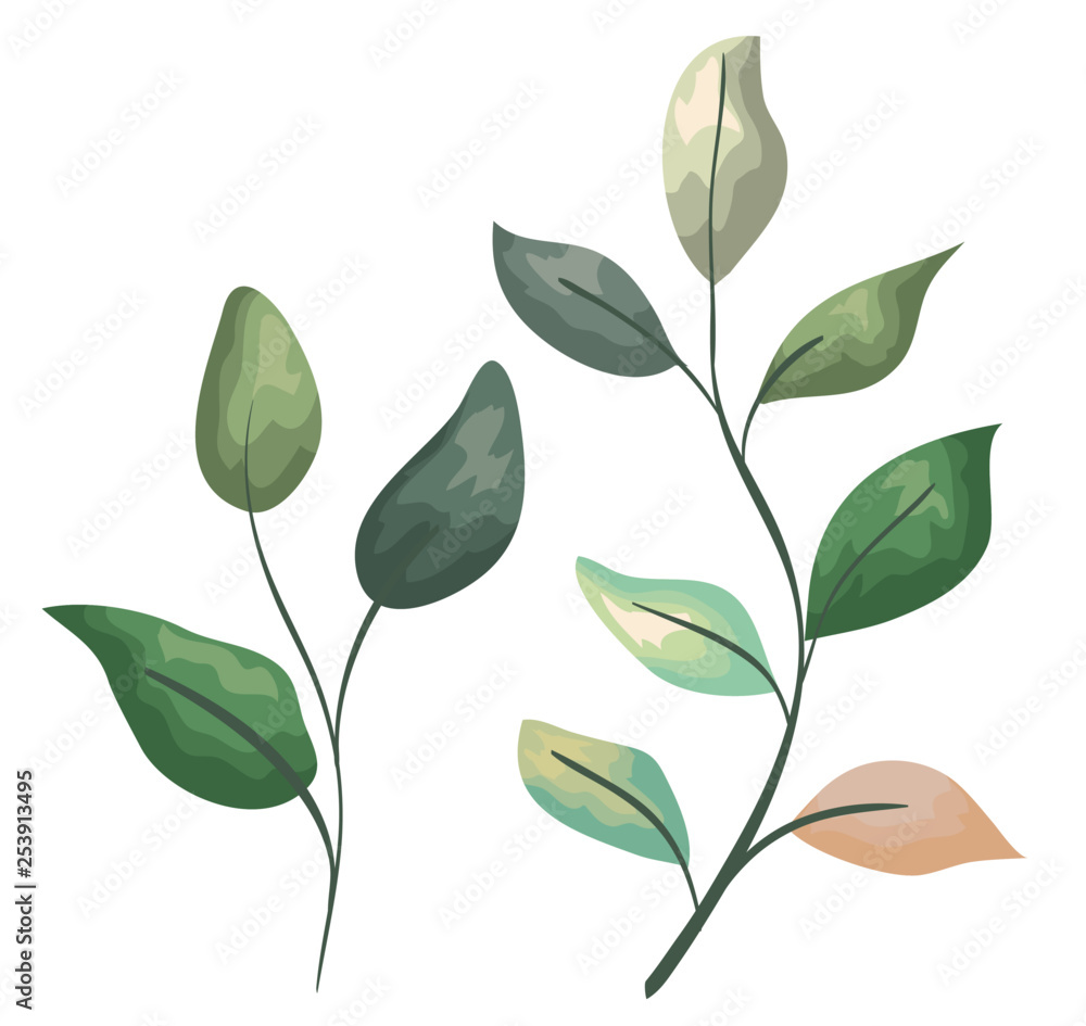 set exotic plants with leaves branches design
