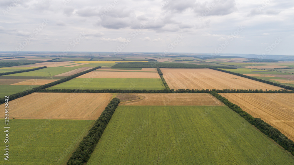 Obraz premium Aerial view of fields with various types of agriculture, against cloudy sky