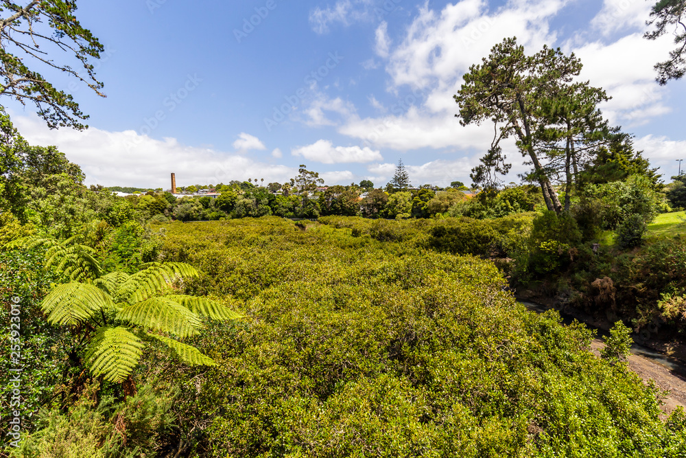 Coxs Bay Reserve, Auckland, New Zealand.