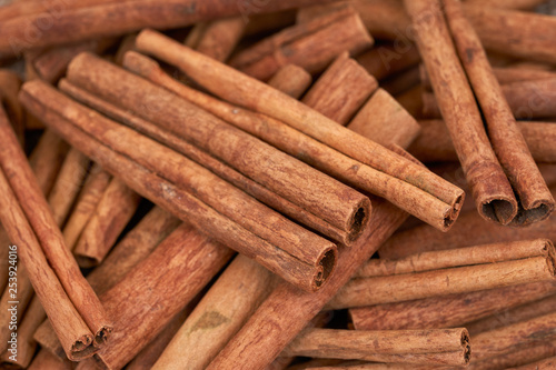 Cinnamon sticks close-up. 