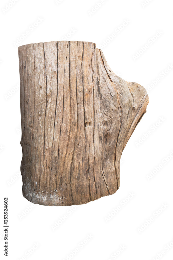 furniture ,wooden log, Stump isolated on white background of file with Clipping Path . furniture ,wooden log, Stump isolated on white background of file with Clipping Path .