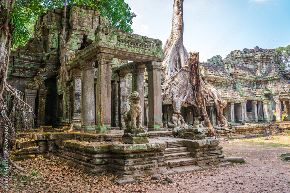 Preah Khan temple, Cabodia: Third enclosure wall east gopuram (entrance) with tree grown onto building Preah Khan temple, Cabodia: Third enclosure wall east gopuram (entrance) with tree grown onto building
