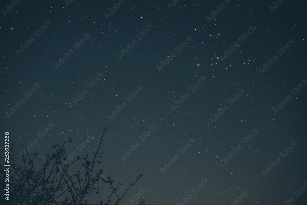 Space EE88 Space EE88