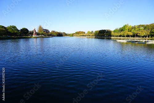 快晴の浮間公園 池