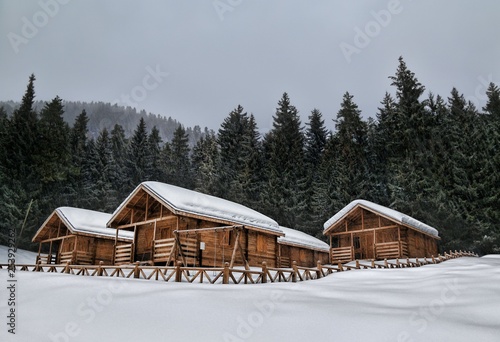 spectacular snow scenes .artvin/savsat/turkey © murat