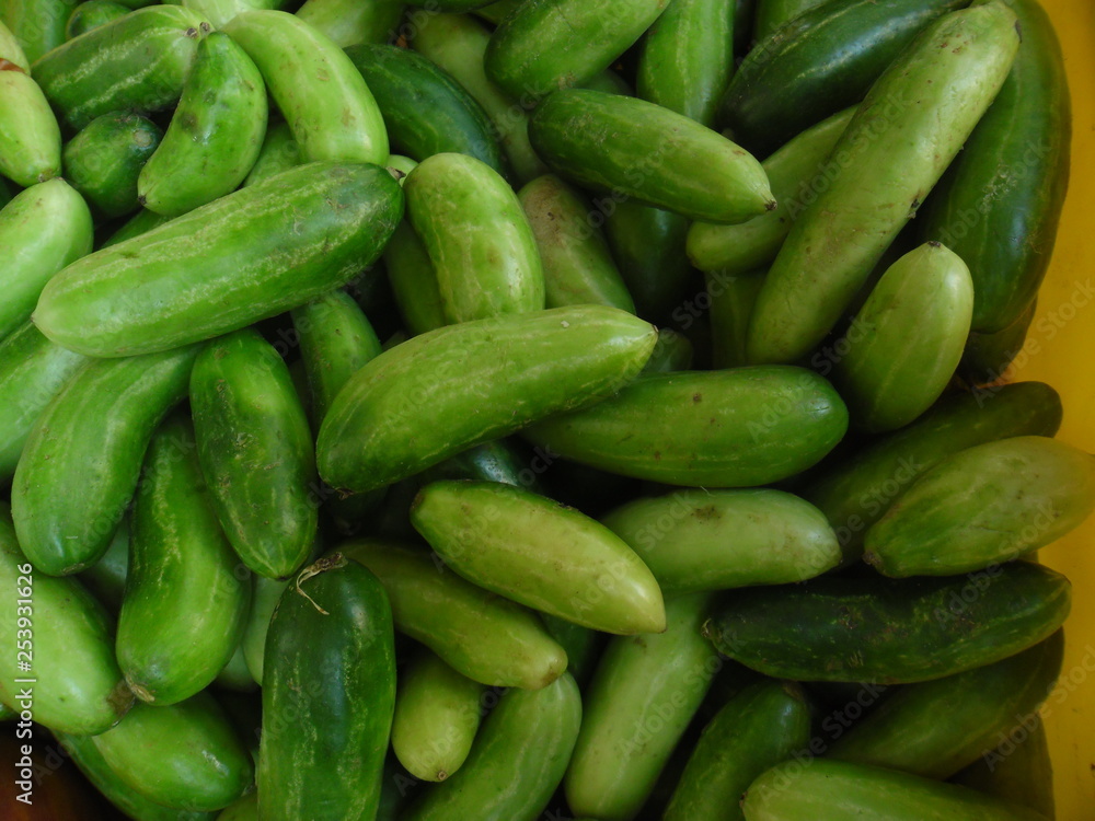THESE ARE IVY GOURDS THESE ARE IVY GOURDS