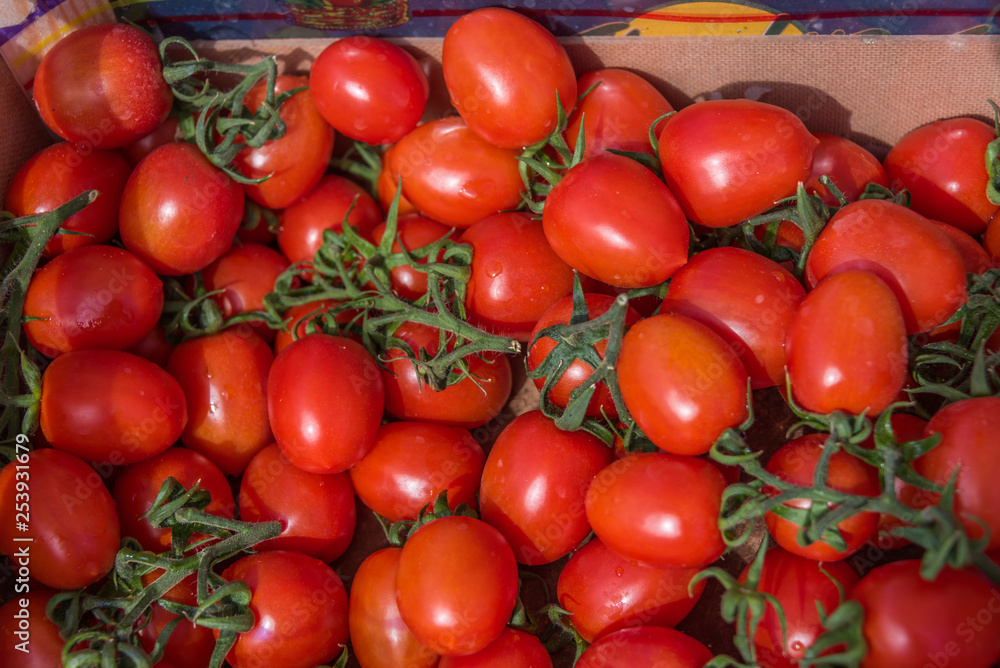 Fresh Italian Tomatoes For Sale at Outdoor Italian Food Market