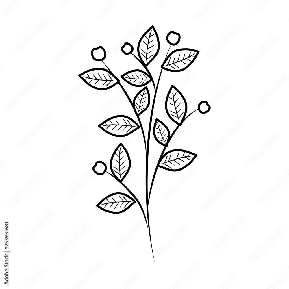 branch with leafs plant branch with leafs plant