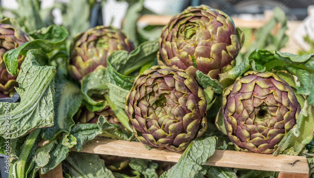 Fototapeta premium Fresh Italian Artichokes For Sale at Outdoor Italian Food Market