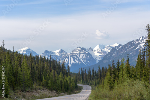 Curved Road to Icefields Parkway in Jasper National Park,Canada