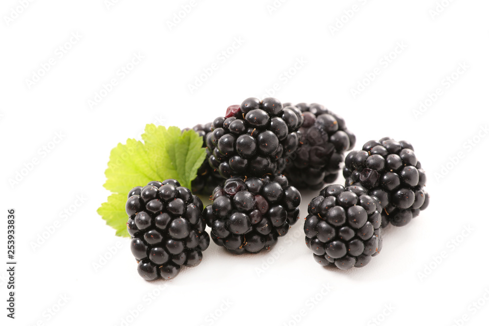 blackberry isolated on white background blackberry isolated on white background