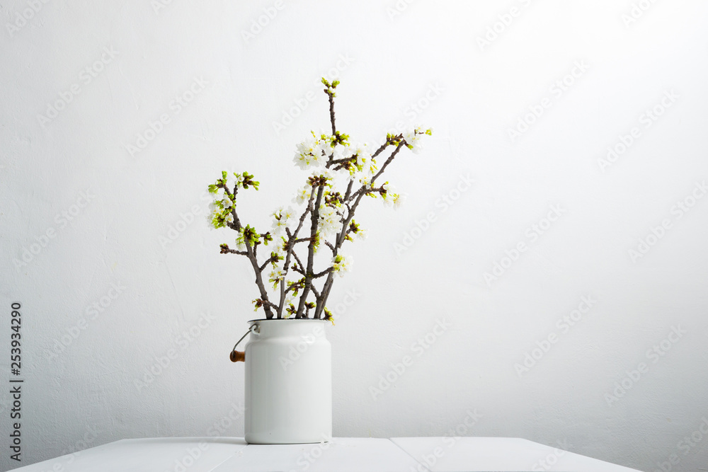 blossoming cherry flower branch at milk canister, white wood table blossoming cherry flower branch at milk canister, white wood table