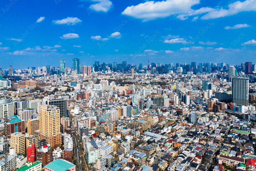 Fototapeta premium (東京都-都市風景)展望ラウンジから望む芝方面の風景3