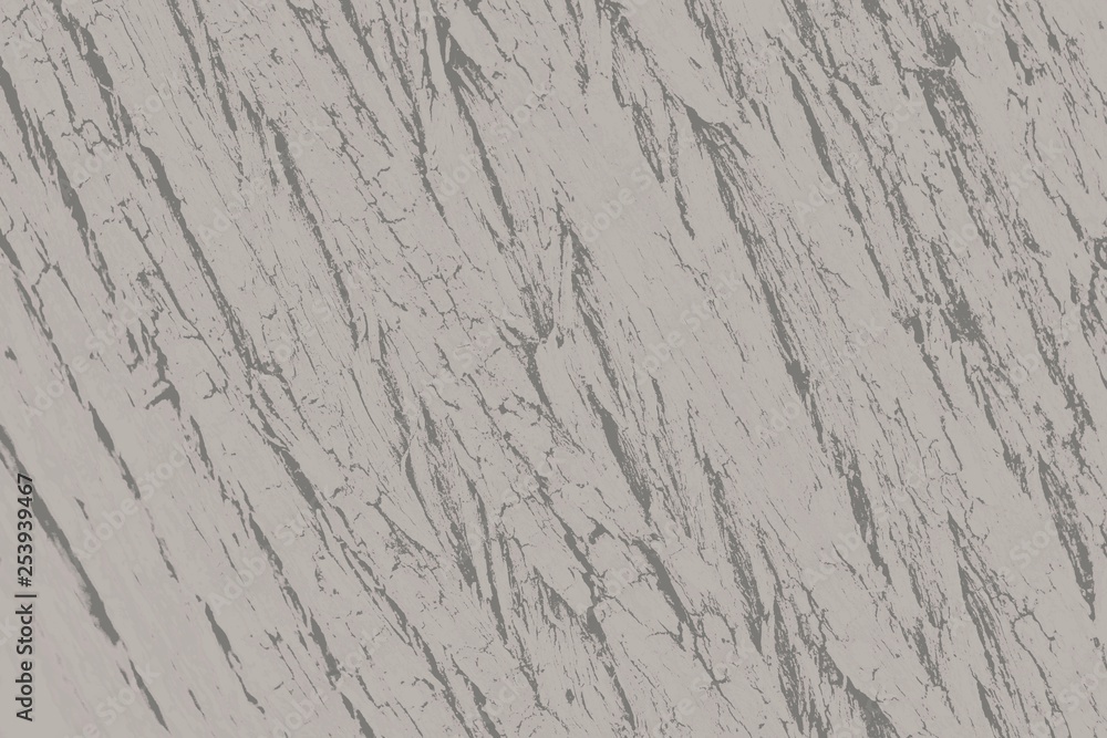 Fototapeta premium Gray Bark Texture