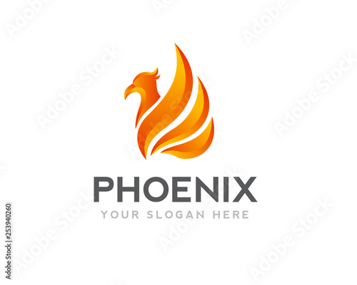 Phoenix fire logo design inspiration