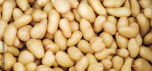 Tela organic potato on market