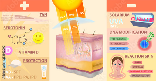The penetration of sunlight into the skin. Plus-minus. Vector