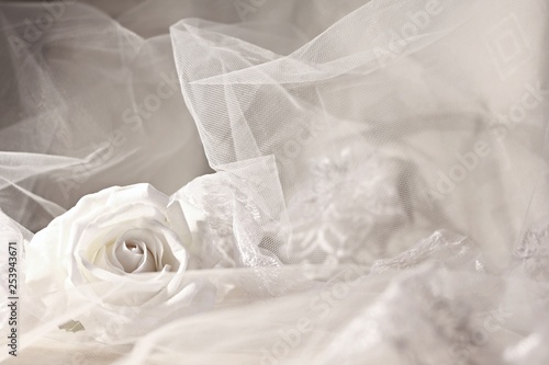 White wedding veil with white rose. Abstract background. © Jitka Svetnickova