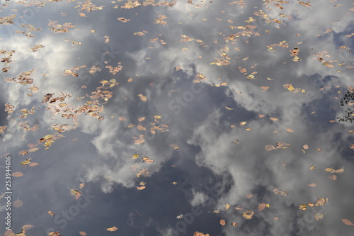 reflection in water, leafs, sky and clouds