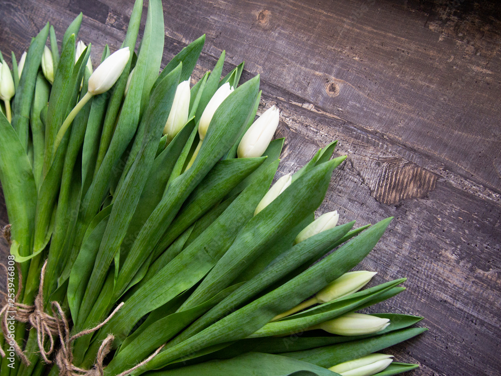 freshly cut white tulips on wooden surface freshly cut white tulips on wooden surface