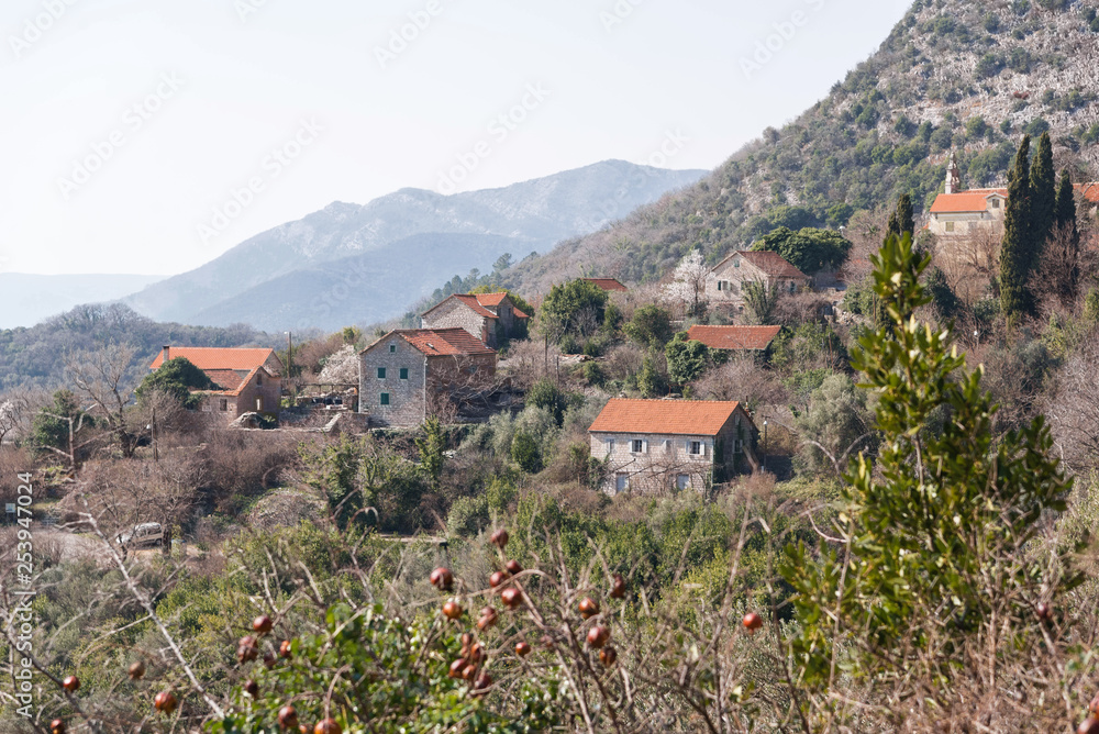 Fototapeta premium Picturesque old mountain village in Montenegro. View from the hill through the crown of a pomegranate tree. Sunny day