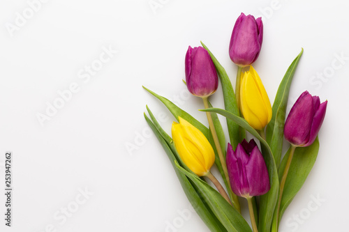 Fototapeta Naklejka Na Ścianę i Meble -  Spring Pink tulips on white background.