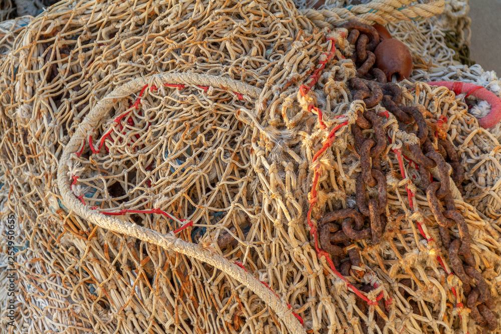 fishing net entanglement