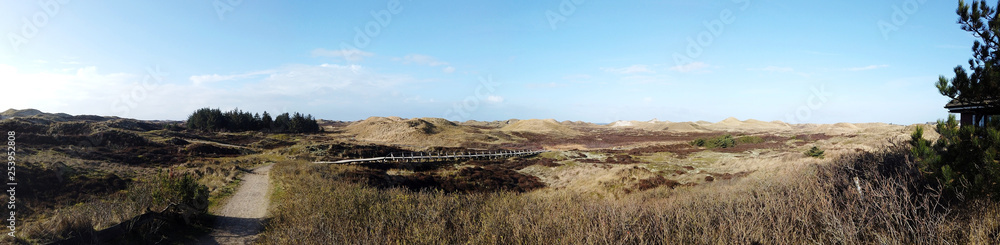 wooden path in Amrum dunes, Schleswig Holstein