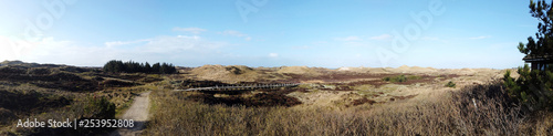 wooden path in Amrum dunes, Schleswig Holstein