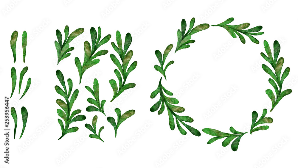 Watercolor green leaves clip art set. Isolated hand drawn plants on white background. Watercolor green leaves clip art set. Isolated hand drawn plants on white background.