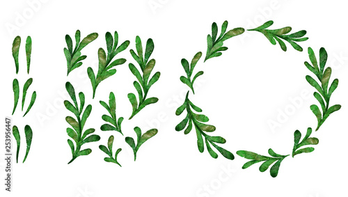 Watercolor green leaves clip art set. Isolated hand drawn plants on white background.