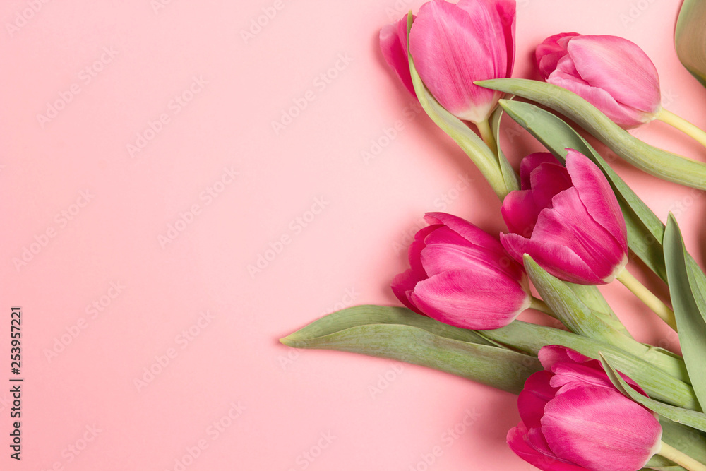 Obraz premium Floral border background with tulips flowers and copy space on pink pastel background. Flat lay, top view.