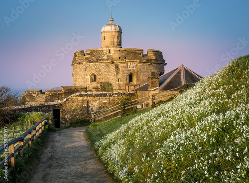 Pathway lined with Snowdrops in early morning light, leading to St Mawes Castle in South Cornwall