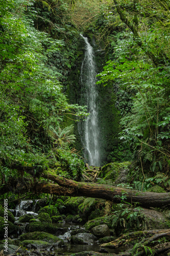 Nichols Falls near Dunedin in Otago, South Island, New Zealand photo
